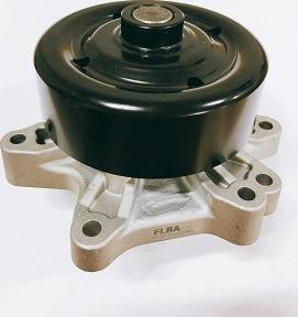 FI.BA WPF002 - Water Pump autospares.lv