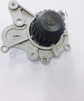 FI.BA WPF013 - Water Pump autospares.lv