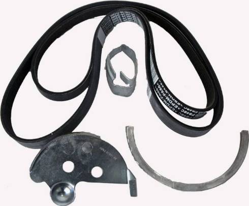 FORD 1708273 - Pulleys and drive belts: 1 pcs. autospares.lv