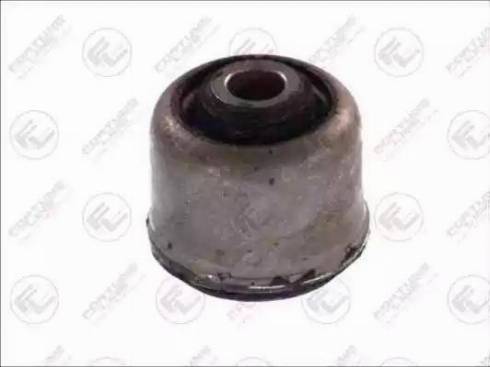 Fortune Line FZ9569 - Bush of Control / Trailing Arm autospares.lv