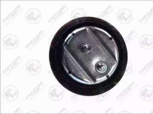 Fortune Line FZ9891 - Holder, engine mounting autospares.lv