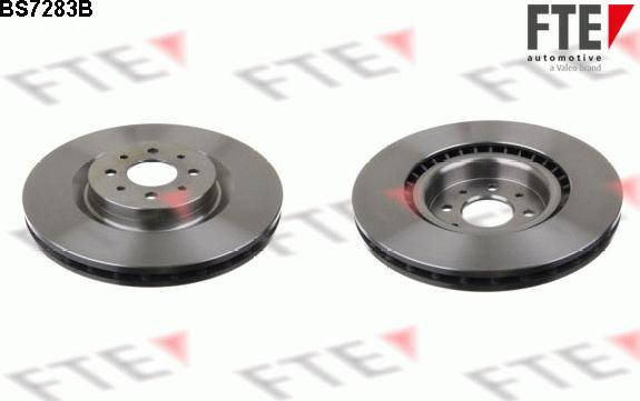 FTE 9081094 - Brake Disc autospares.lv