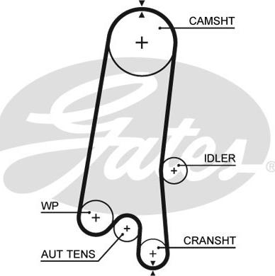 Gates 5597XS - Timing Belt autospares.lv