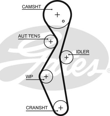 Gates 5672XS - Timing Belt autospares.lv