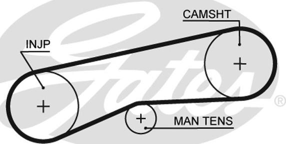 Gates 5093 - Timing Belt autospares.lv