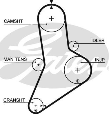 Gates 5038 - Timing Belt autospares.lv