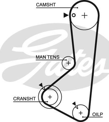 Gates 5372XS - Timing Belt autospares.lv