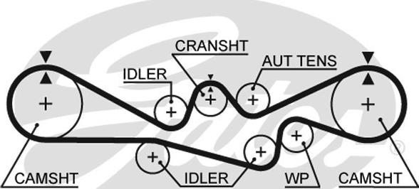 Gates 5537XS - Timing Belt autospares.lv