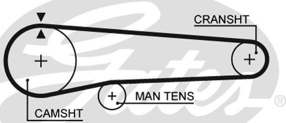 Gates 5219 - Timing Belt autospares.lv