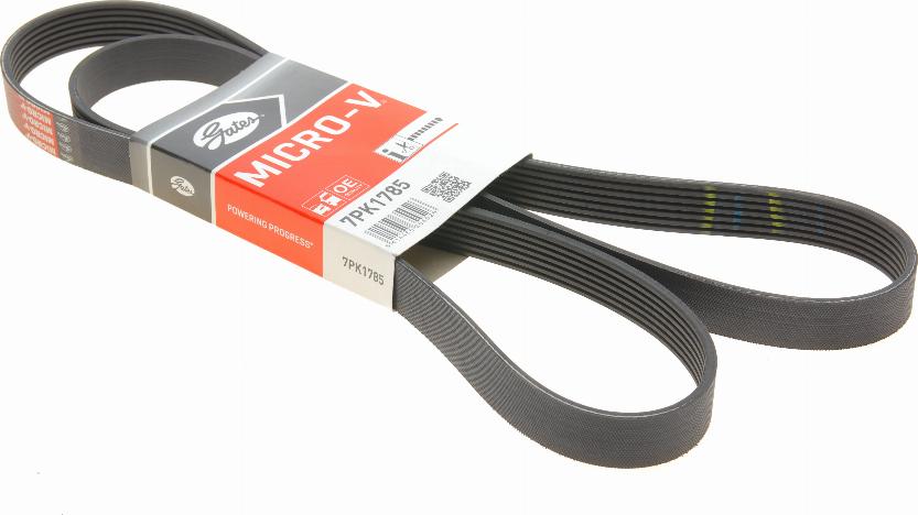 Gates 7PK1785 - V-Ribbed Belt autospares.lv