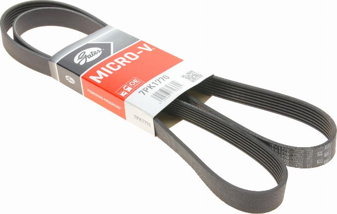 Gates 7PK1770 - V-Ribbed Belt autospares.lv