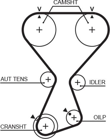 GATES-AU T313 - Timing Belt autospares.lv