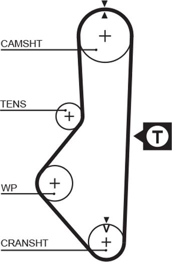GATES-MX T117 - Timing Belt autospares.lv