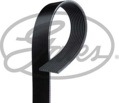 GATES-SEA 10PK1020 - V-Ribbed Belt autospares.lv