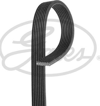 GATES-SEA 8DPK1355 - V-Ribbed Belt autospares.lv