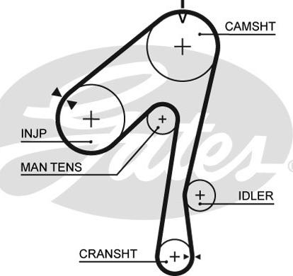GATES-SEA T928 - Timing Belt autospares.lv