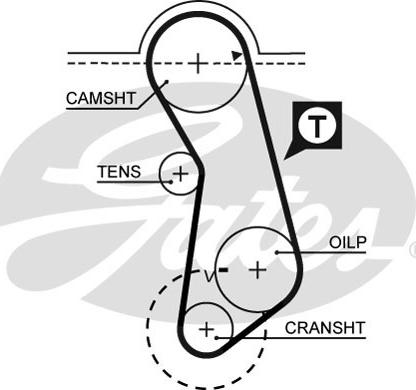 GATES-SEA T017 - Timing Belt autospares.lv