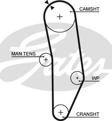 GATES-SEA T025 - Timing Belt autospares.lv