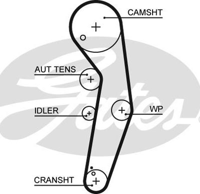 GATES-SEA T1547 - Timing Belt autospares.lv