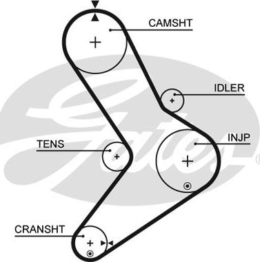 GATES-SEA T1555 - Timing Belt autospares.lv