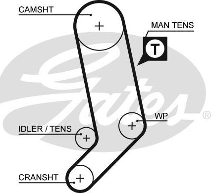 GATES-SEA T1569 - Timing Belt autospares.lv