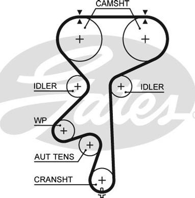 GATES-SEA T1566 - Timing Belt autospares.lv