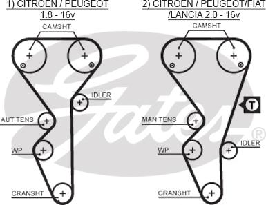 GATES-SEA T1504 - Timing Belt autospares.lv