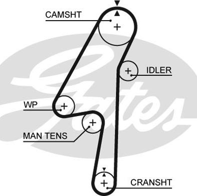 GATES-SEA T1580 - Timing Belt autospares.lv