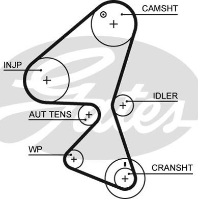GATES-SEA T1608 - Timing Belt autospares.lv