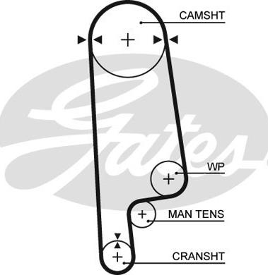 GATES-SEA T161 - Timing Belt autospares.lv