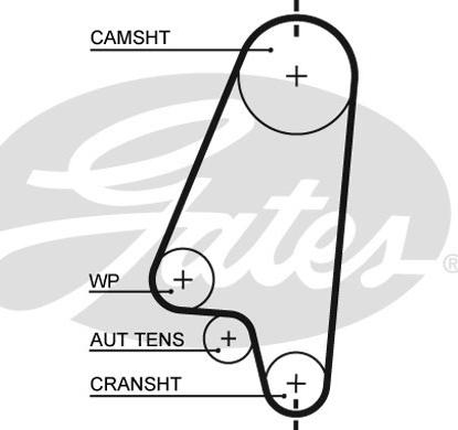 GATES-SEA T1041 - Timing Belt autospares.lv