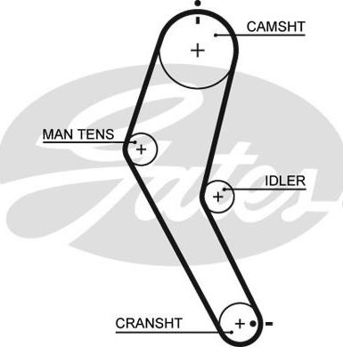 GATES-SEA T1120 - Timing Belt autospares.lv