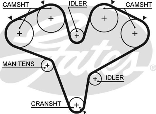 GATES-SEA T180 - Timing Belt autospares.lv