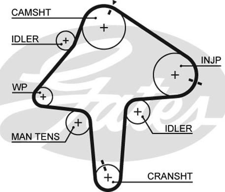 GATES-SEA T1357 - Timing Belt autospares.lv