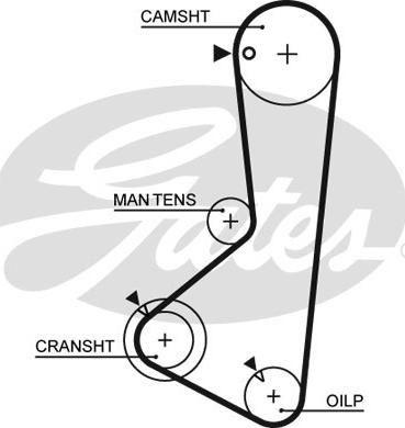 GATES-SEA T124 - Timing Belt autospares.lv