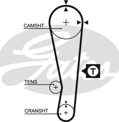 GATES-SEA T123 - Timing Belt autospares.lv