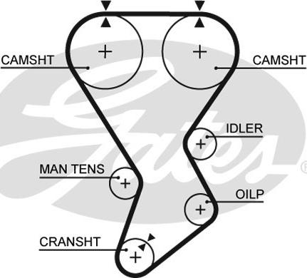 GATES-SEA T865 - Timing Belt autospares.lv
