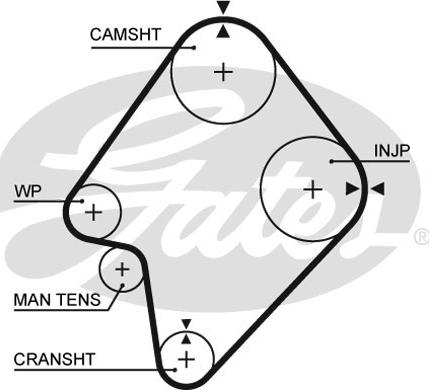 GATES-SEA T822 - Timing Belt autospares.lv
