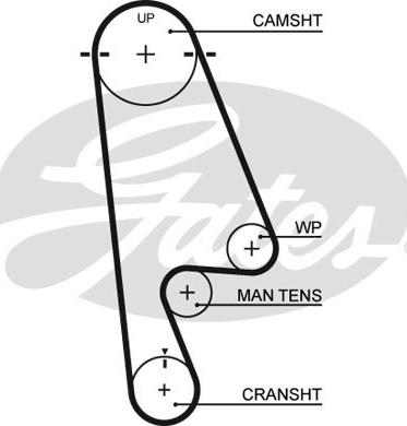 GATES-SEA T244 - Timing Belt autospares.lv