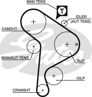 GATES-SEA T242 - Timing Belt autospares.lv