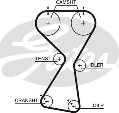 GATES-SEA T256 - Timing Belt autospares.lv