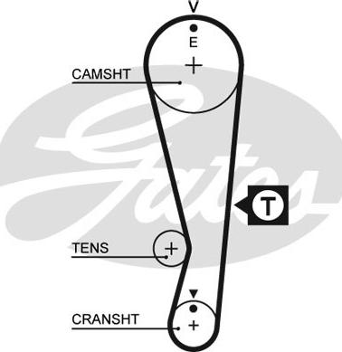 GATES-SEA T212 - Timing Belt autospares.lv