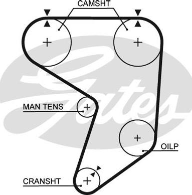 GATES-SEA T237 - Timing Belt autospares.lv