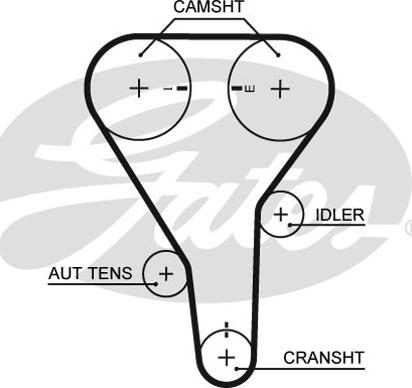 GATES-SEA T316 - Timing Belt autospares.lv