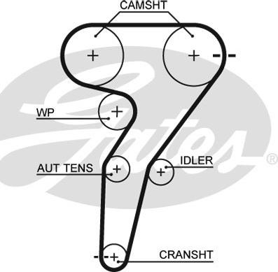 GATES-SEA T791 - Timing Belt autospares.lv