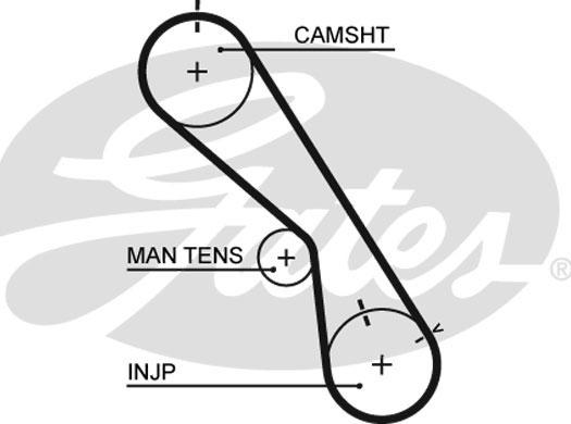 GATES-SEA T797 - Timing Belt autospares.lv