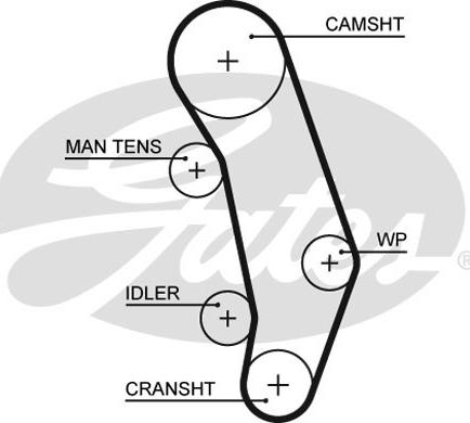GATES-SEA T765 - Timing Belt autospares.lv