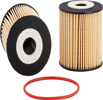 GCG Turbos Australia RY-R2599P - Oil Filter autospares.lv