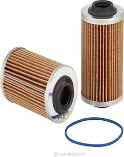 GCG Turbos Australia RY-R2605P - Oil Filter autospares.lv