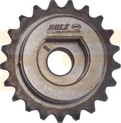 GGT PCKD142 - Chain Sprocket autospares.lv